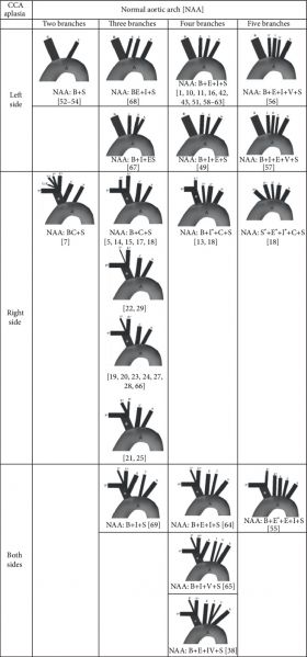 File:Aortic arch branching pattern abnormalities.jpg