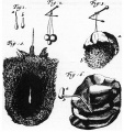 Thumbnail for version as of 21:13, 2 November 2015