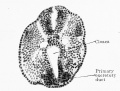 Fig. 534
