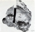 Fig. 164. External appearance of same specimen, showing where block was removed. X0.75.