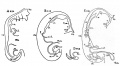 Fig. 444. Digestive tracts of four human embryos. A, embryo of 4.2 mm.; B, embryo of 7mm.; C, embryo of 13.8 mm.; D, embryo of 12.5 mm.