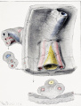 Fig. 16 Embryo 6.5 cm