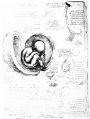 Fig. 85. Representations of the human fetus at term and of the ungulate placenta. (QIII, 8.)