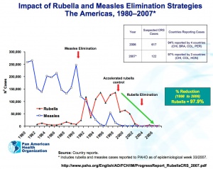 Rubella and measles elimination in the Americas