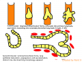 Thumbnail for version as of 17:41, 20 July 2014