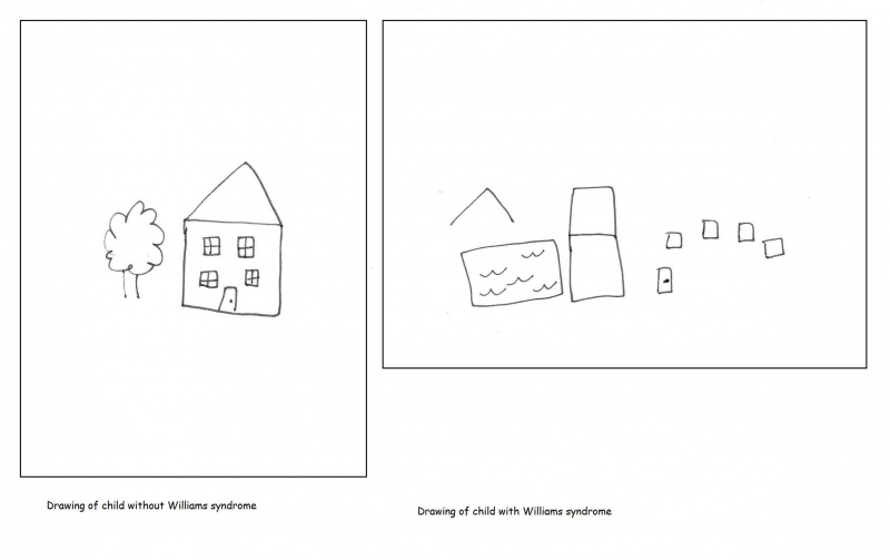 File:House drawings Williams.jpg