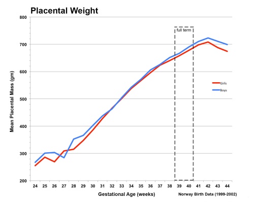 Placental mean weight graph01.jpg