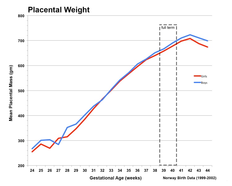 File:Placental mean weight graph01.jpg