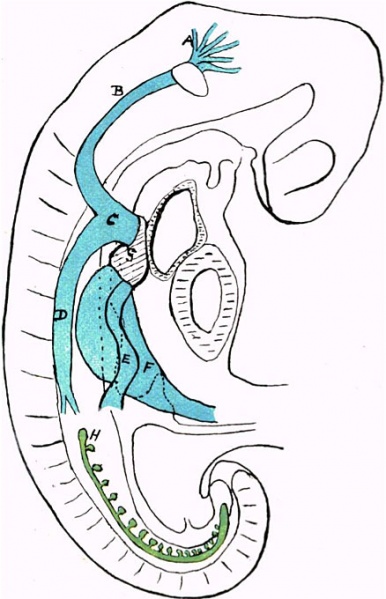 File:Waterston14.jpg