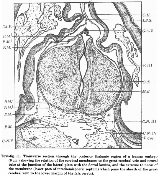 File:GladstoneWakeley1937 fig11.jpg