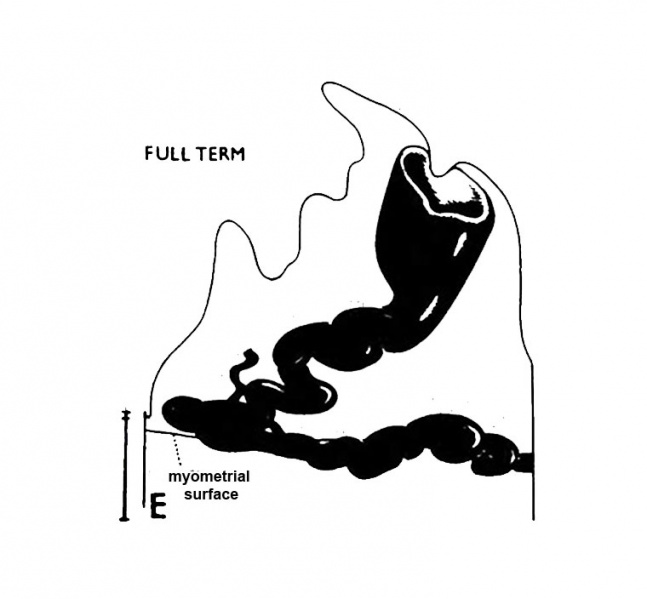 File:Ramsey1972 fig04-16e.jpg