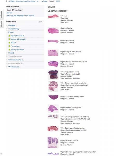 File:BGDB Practical - Upper Gastrointestinal Tract Histology.jpg