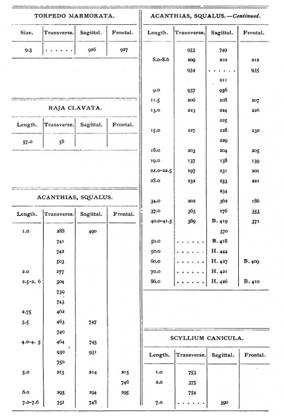File:Harvard collection table 08.jpg