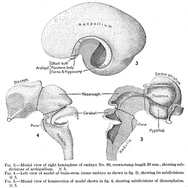 File:Jenkins003-005.jpg