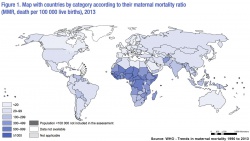 WHO map maternal mortality ratio 2013.jpg