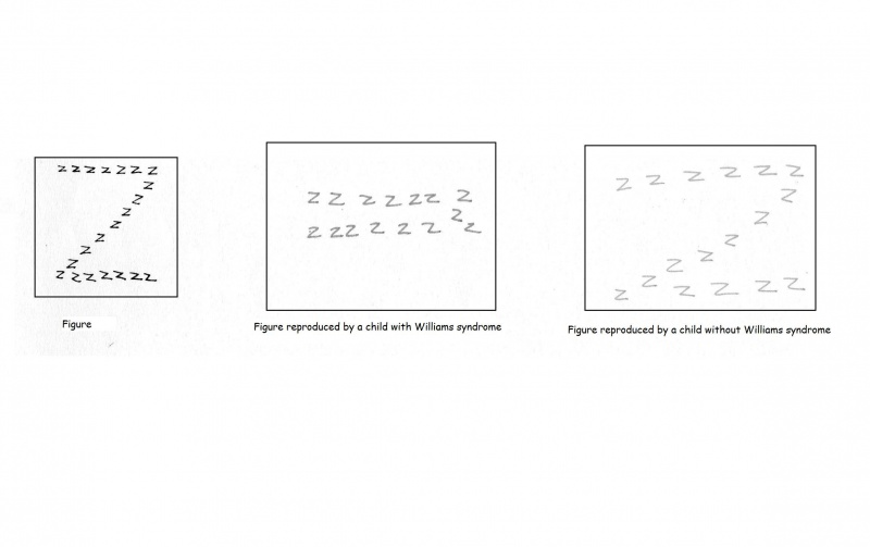 File:Z diagram Williams.jpg