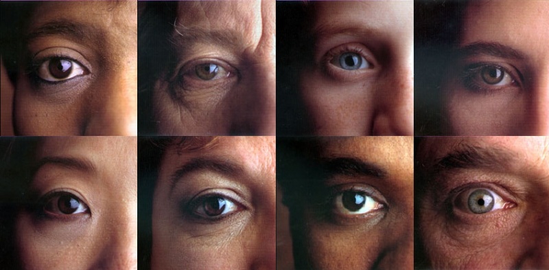 File:Eye collage 2.jpg