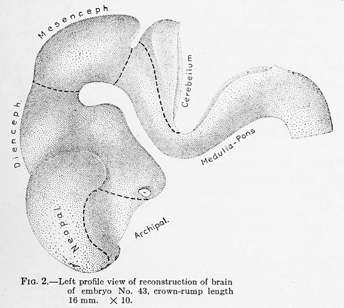 File:Jenkins002.jpg
