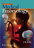 Langman's Medical Embryology 11th edn.jpg