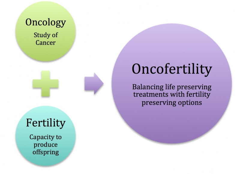 File:Summary of Oncofertility.jpg