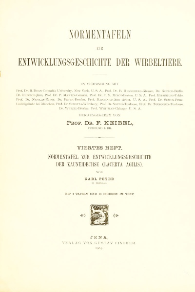 File:Keibel1904 titlepage.jpg
