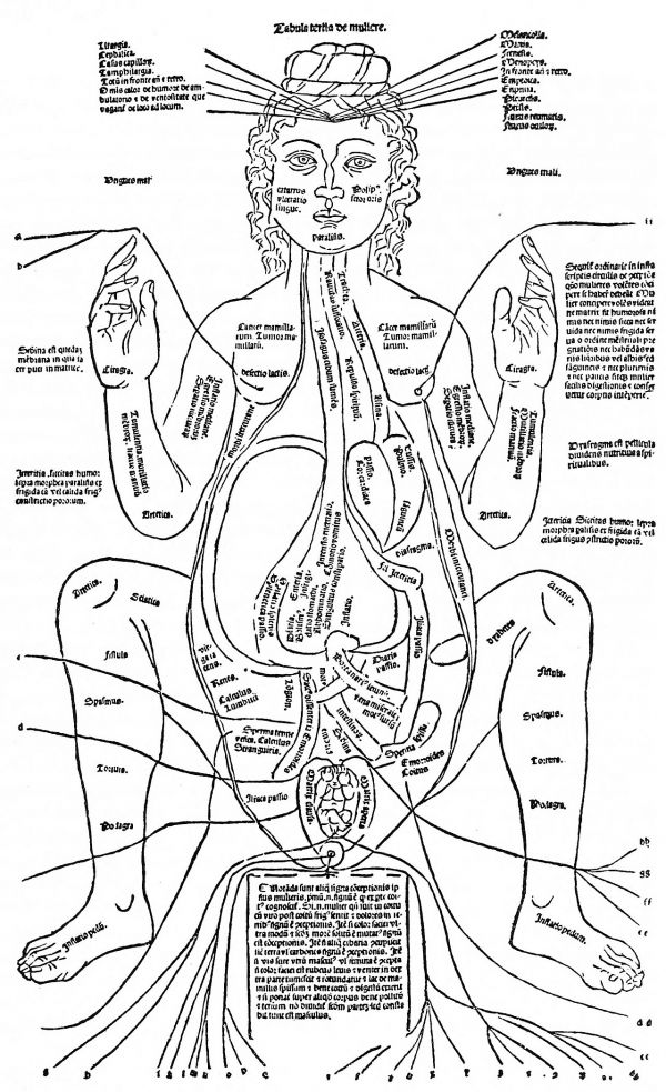 Situs figure from the Fasciculus medicinse (1491)
