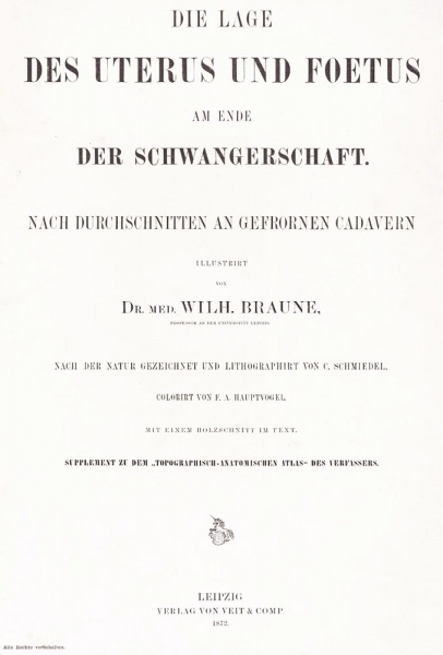 File:Wilhelm Braune 1872 titlepage.jpg