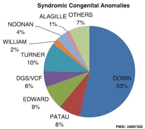 Syndrome abnormalities USA 1998-2008 graph.jpg