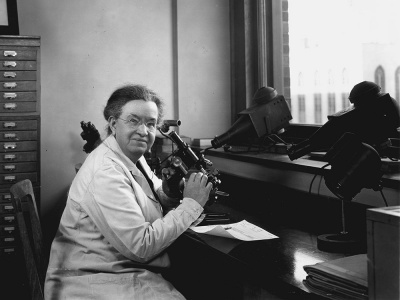 Florence Sabin in Rockefeller lab