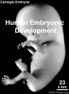 Embryo stages 003 icon.jpg