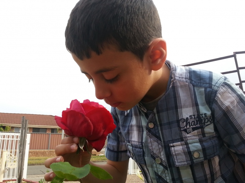 Antony smelling flower.jpg