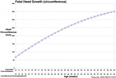 Fetal head growth circumference graph01.jpg