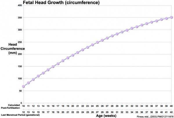 Fetal head growth circumference graph01.jpg