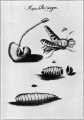 Thumbnail for version as of 16:51, 2 November 2015