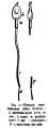 Thumbnail for version as of 16:53, 23 August 2014