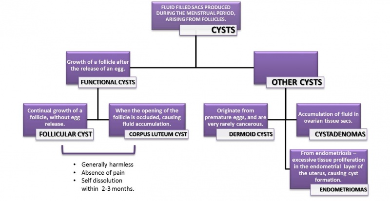 File:Types of Cysts.jpg
