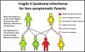 Fragile X inheritance for Non-symptomatic parents