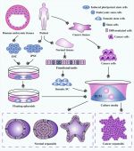 Organoids overview