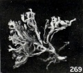 Fig. 269. Villous tree showing few buds or knobs. No. 1840a. X2.25.