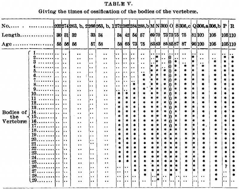 Table V Giving the Times of Ossification of the Bodies of the Vertebrae