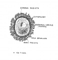 Fig. 1. Parts of a Mature Human Ovum