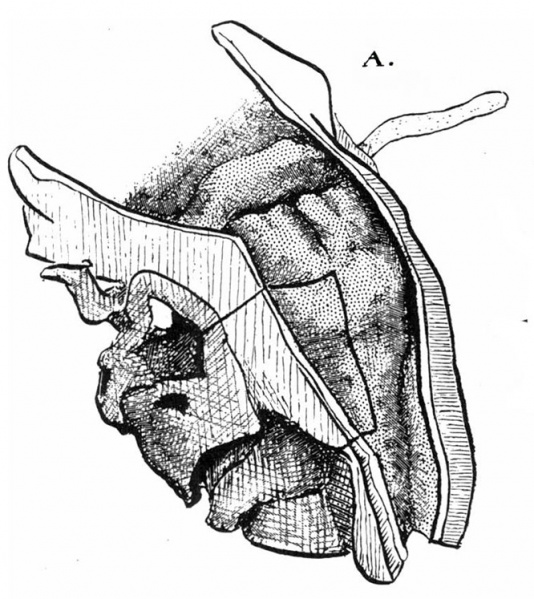 File:Frazer1910 fig07a.jpg