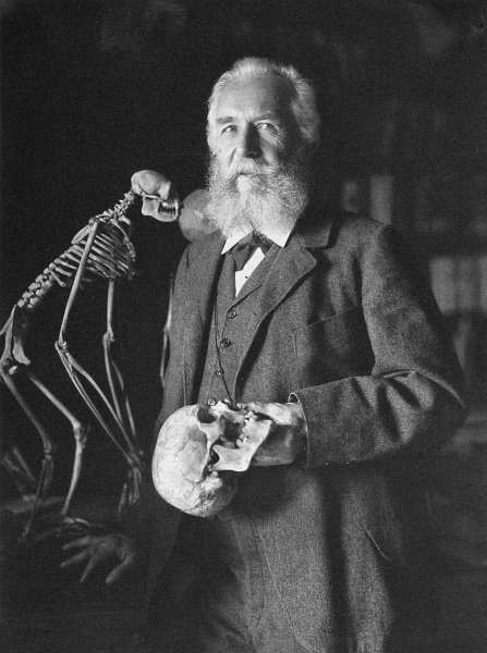 File:Ernst Haeckel.jpg