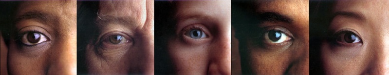 File:Eye collage.jpg
