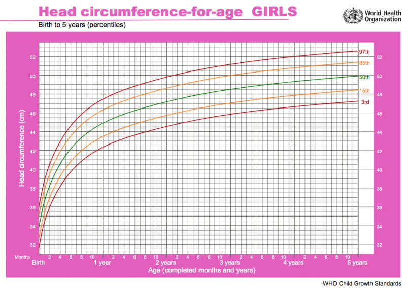 File:WHO chart - girls head birth to 5 years.png