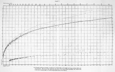 Chart 5. Field and curve of mean menstrual age for specimens in the Carnegie Collection having menstrual histories