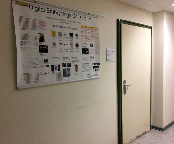 File:Anatomische Gesellschaft Gottingen poster2016.jpg