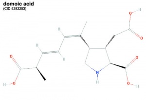 Domoic acid.jpg