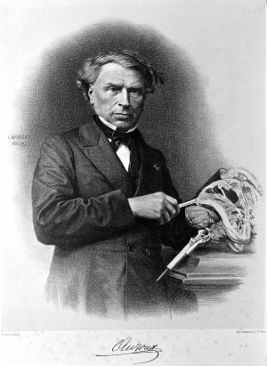 Dr. Louis Thomas Jérôme Auzoux (1797-1880)