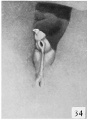 Fig. 34. Carnegie 847, 58.8 mm Male